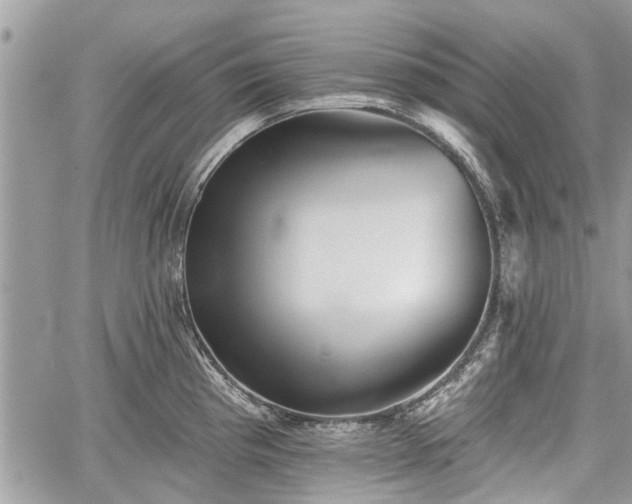 X0000059821193200510241348