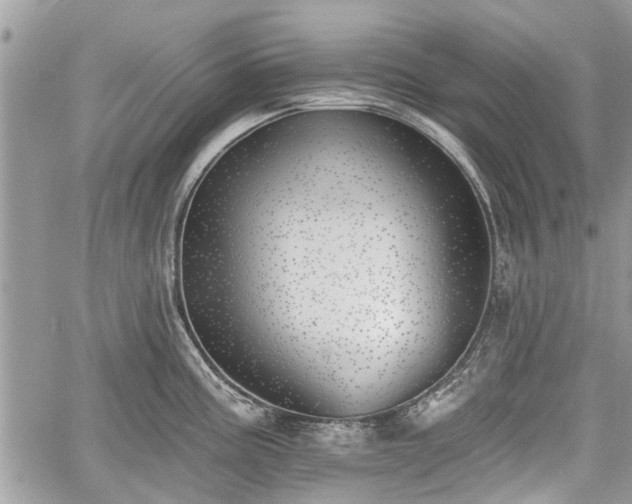 X0000059821195200510241348