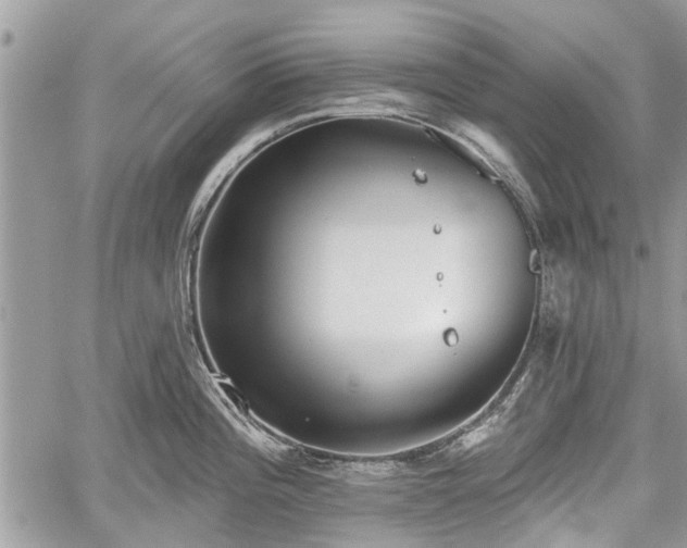 X0000059821196200510241348