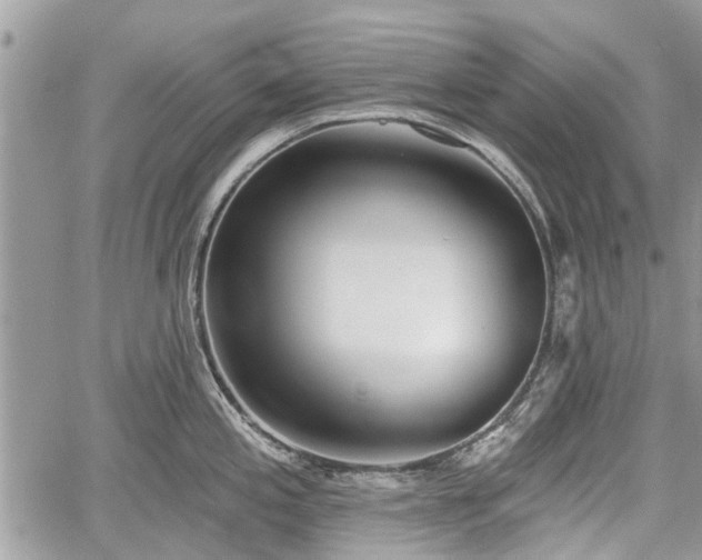 X0000059821197200510241348