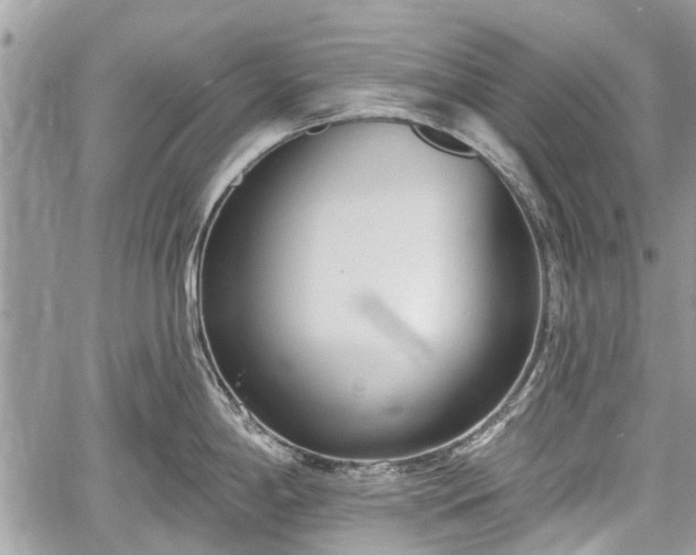 X0000059821198200510241348