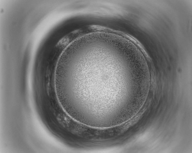 X0000059821199200510241347