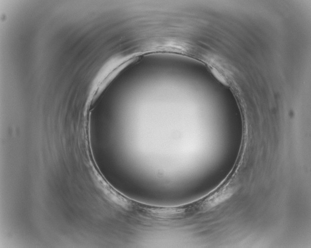 X0000059821200200510241347