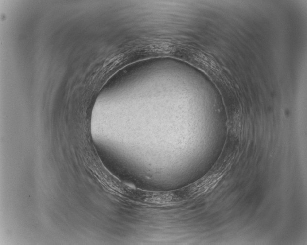 X0000059821201200510241347