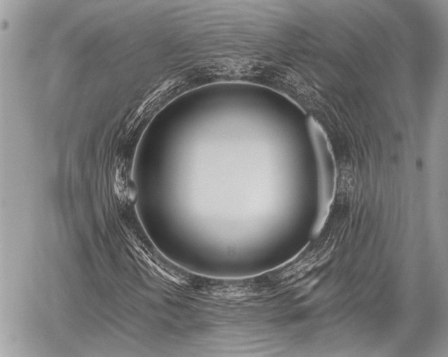 X0000059821202200510241347