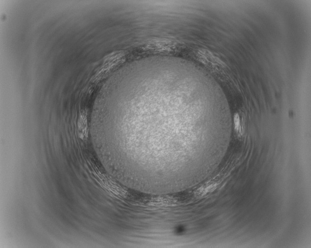 X0000059821203200510241347