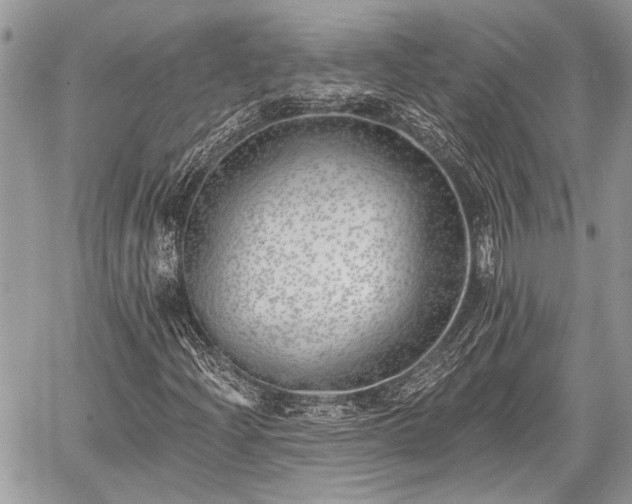 X0000059821204200510241347