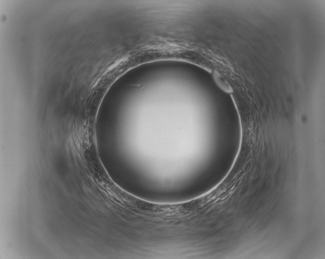 X0000059821205200510241347