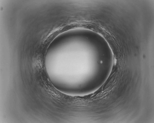 X0000059821206200510241347