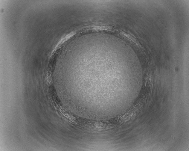 X0000059821207200510241347