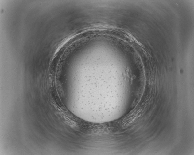 X0000059821208200510241347