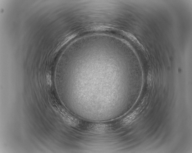 X0000059821209200510241347