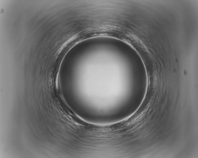 X0000059821210200510241347