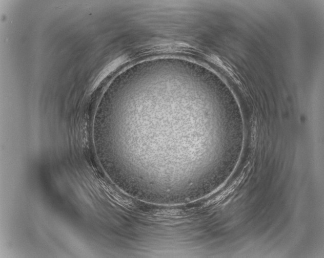 X0000059821211200510241347