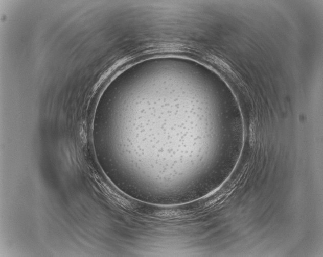 X0000059821212200510241347