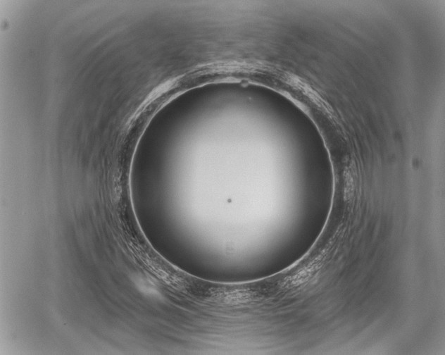 X0000059821213200510241347