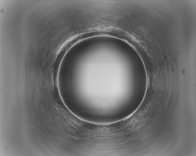 X0000059821214200510241347