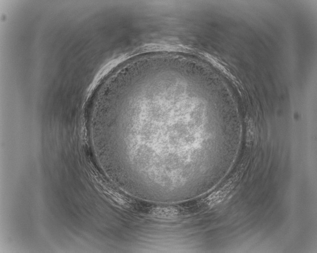 X0000059821215200510241347