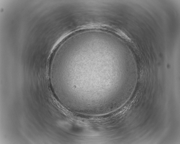 X0000059821216200510241347