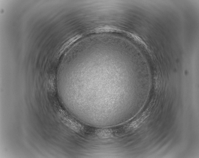 X0000059821217200510241347