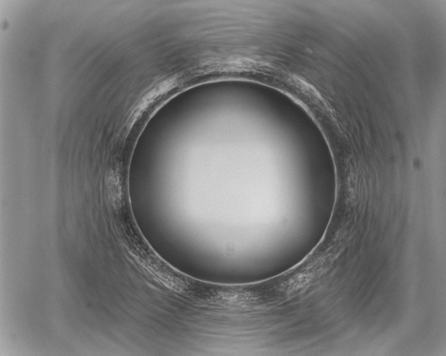 X0000059821218200510241347