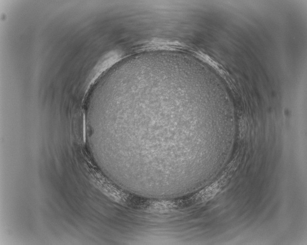 X0000059821219200510241347