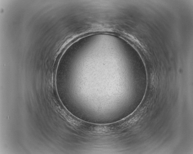 X0000059821220200510241347