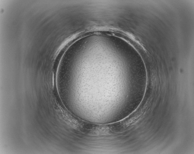 X0000059821221200510241347