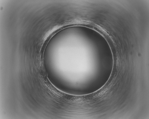 X0000059821222200510241347