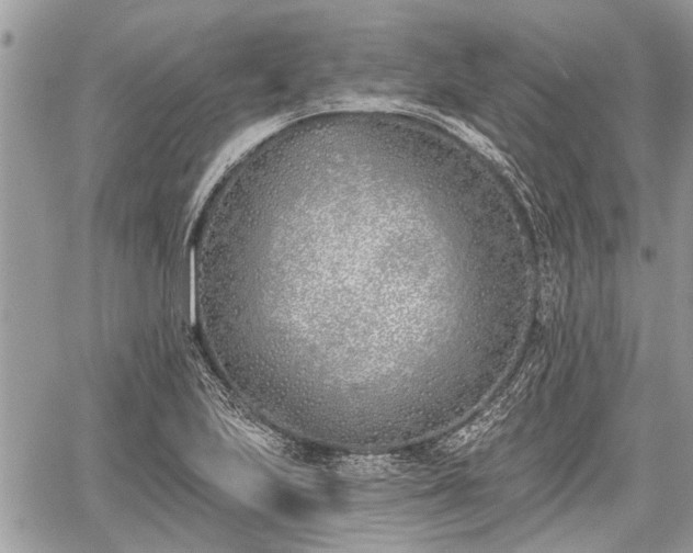 X0000059821223200510241347