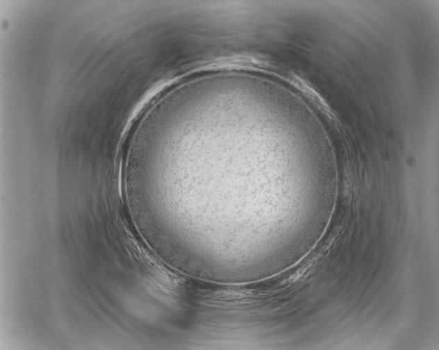 X0000059821224200510241347