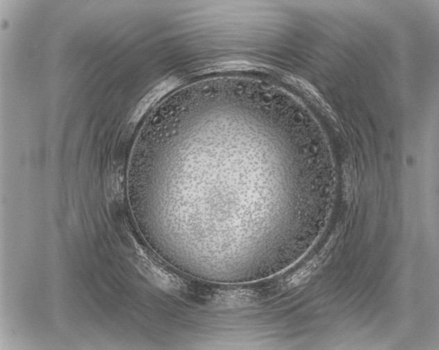 X0000059821225200510241347