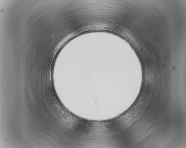 X0000059821226200510241347