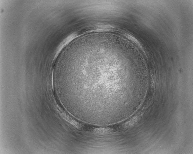 X0000059821227200510241347