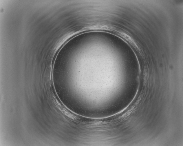 X0000059821228200510241347