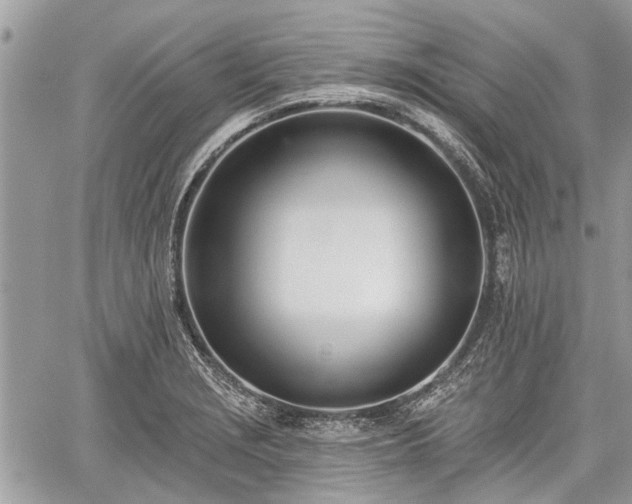 X0000059821229200510241347