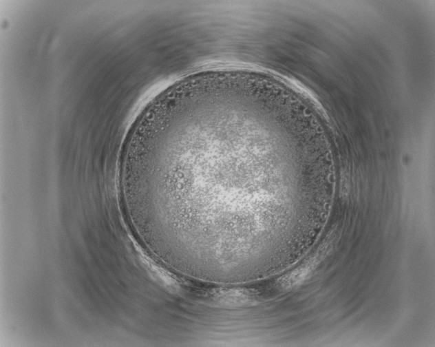 X0000059821231200510241347