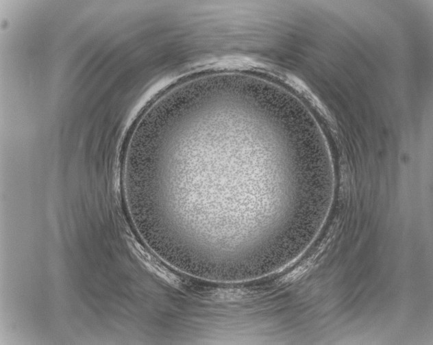 X0000059821232200510241347