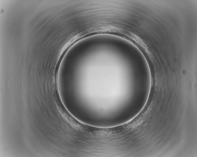 X0000059821234200510241347