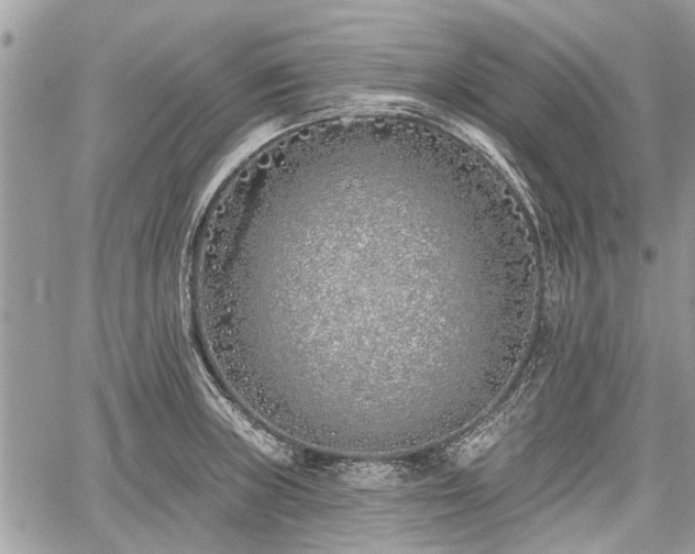 X0000059821235200510241347