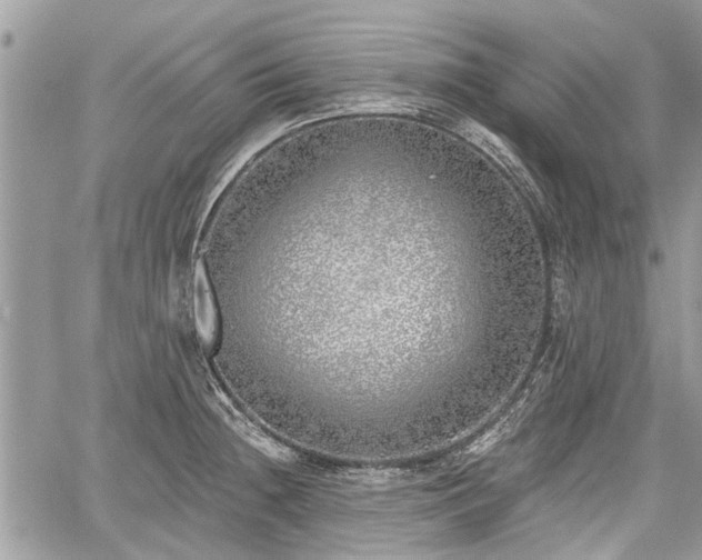 X0000059821236200510241347