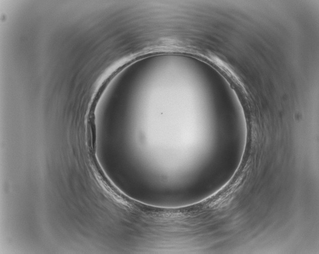 X0000059821238200510241347