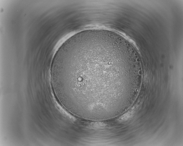 X0000059821239200510241347