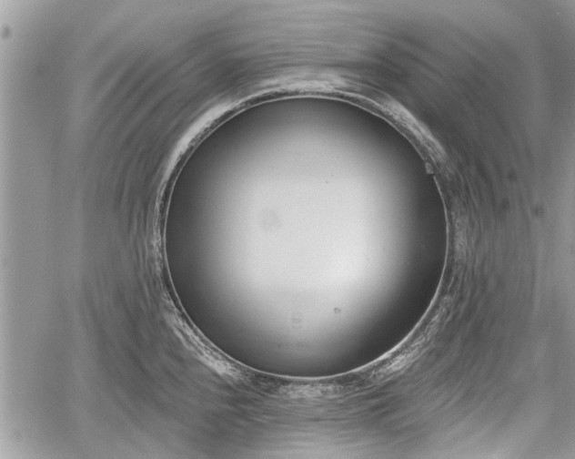 X0000059821240200510241347