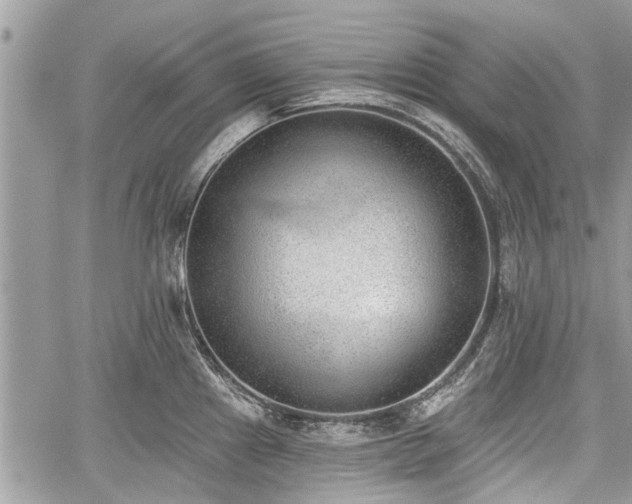 X0000059821241200510241347