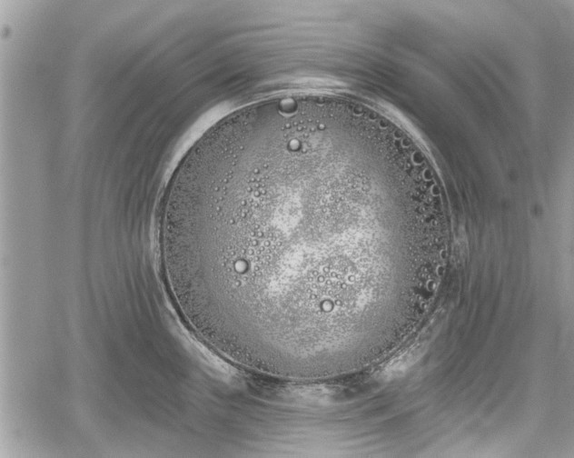 X0000059821243200510241347