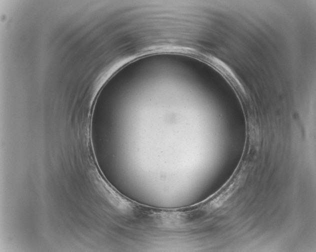 X0000059821244200510241347