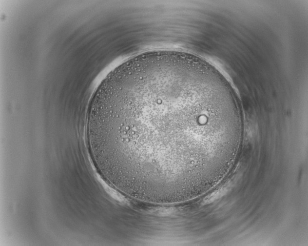 X0000059821245200510241347