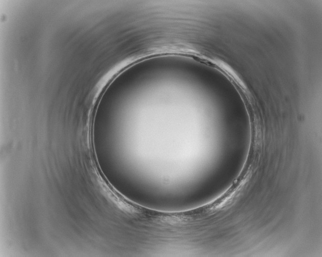 X0000059821246200510241347