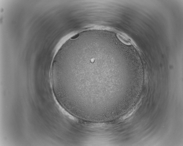 X0000059821247200510241347